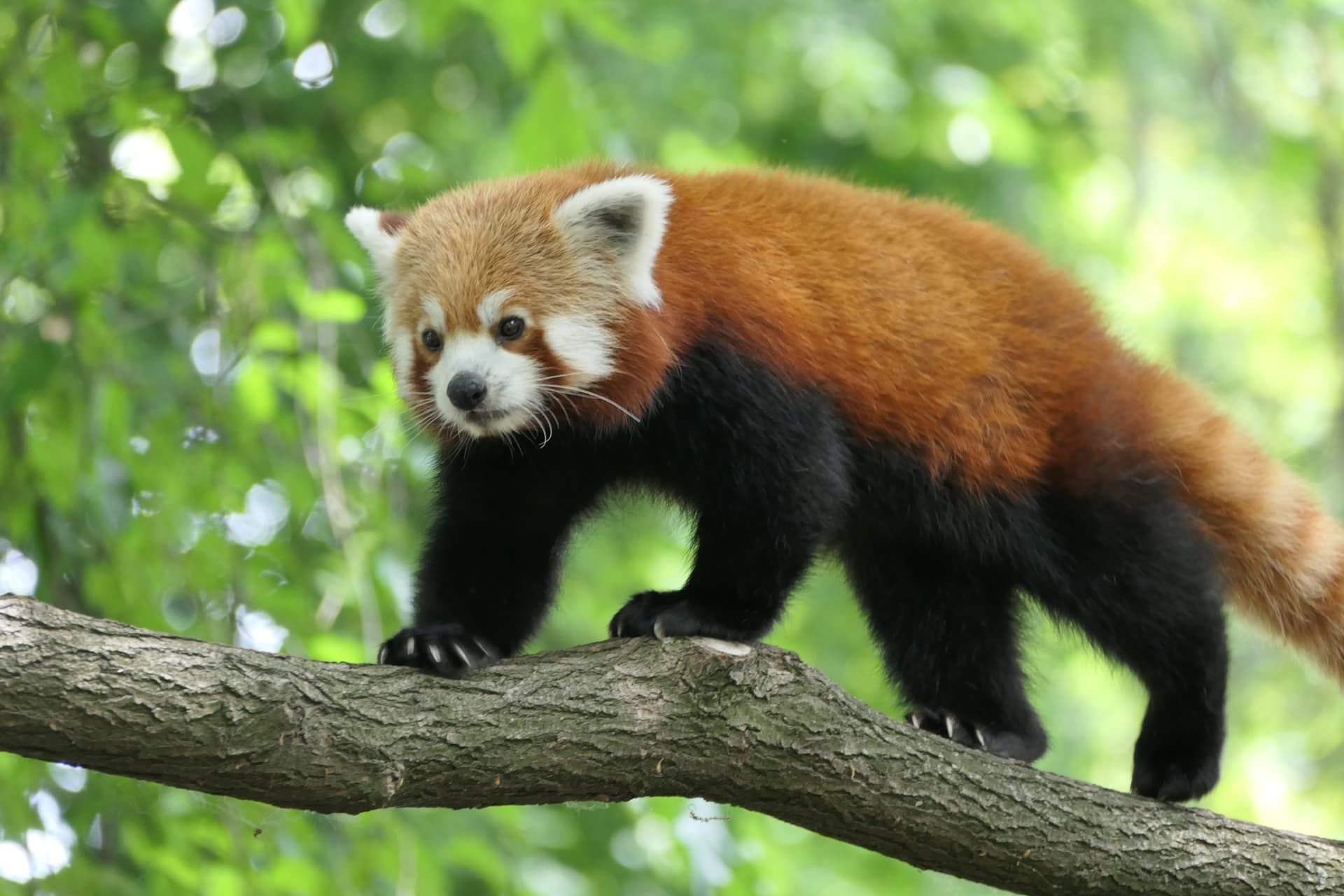 Ogród Zoobotaniczny